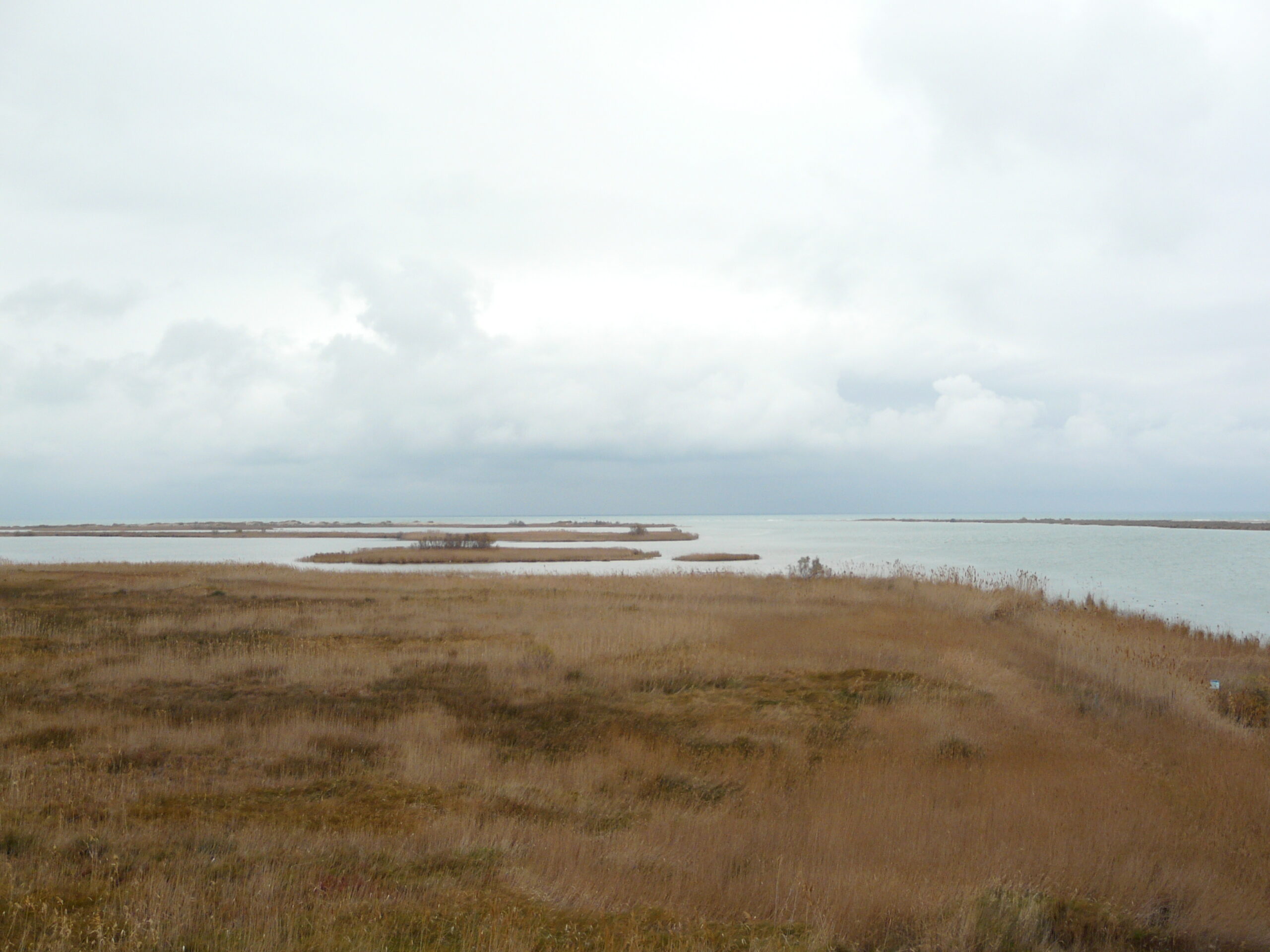delta, desembocadura de l'ebre