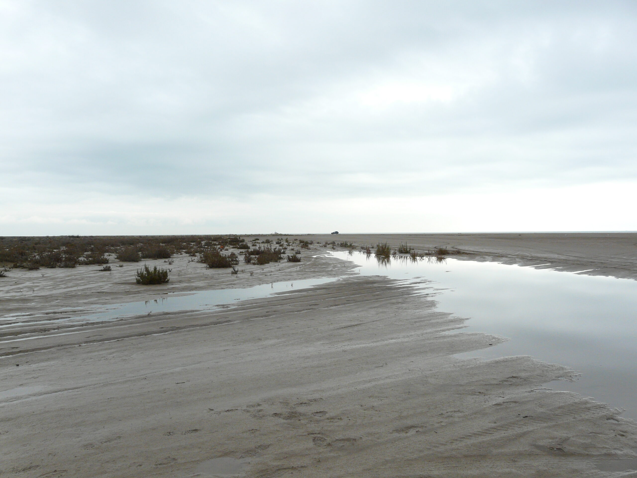 delta, el trabucador