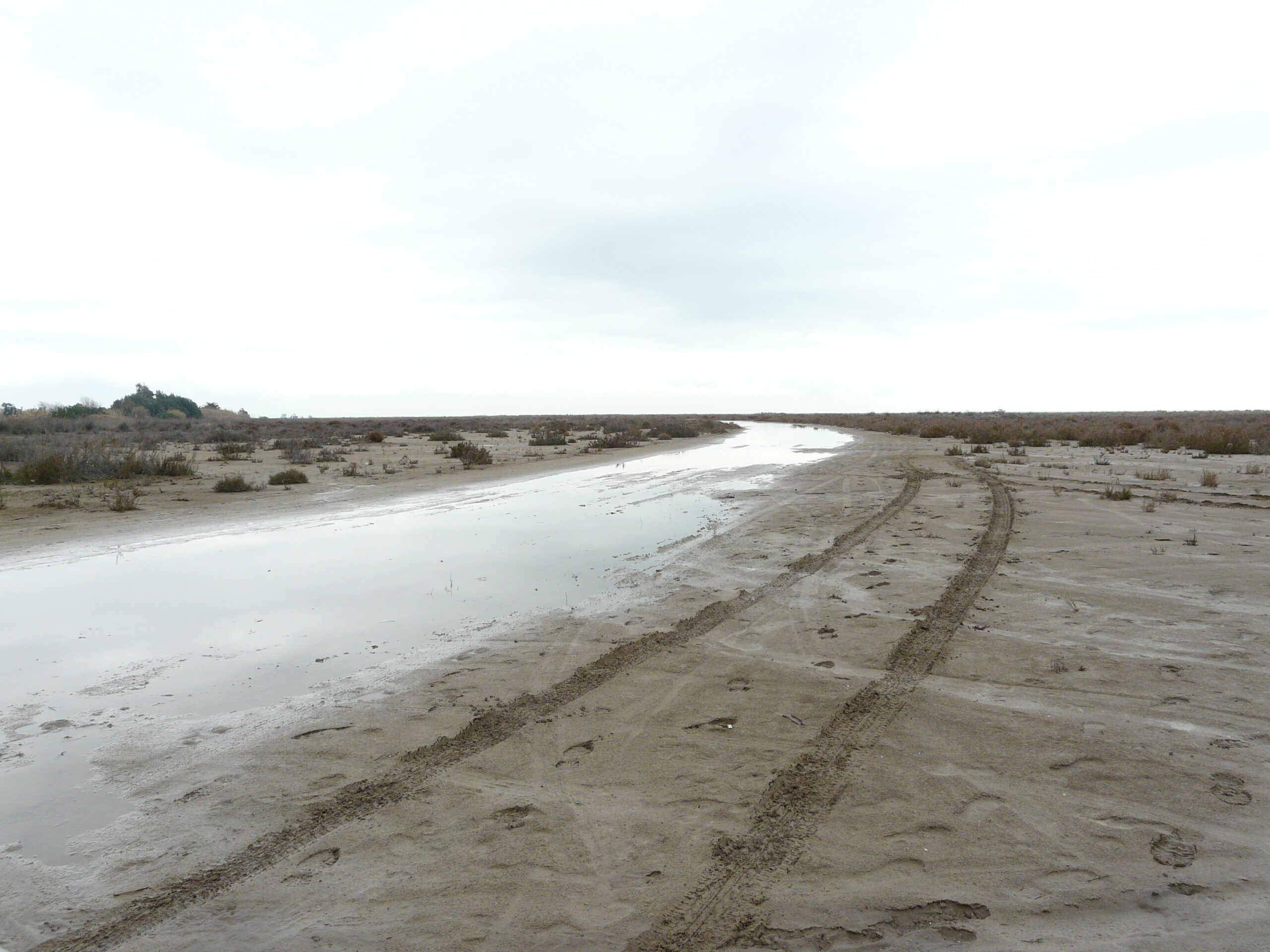 delta, el trabucador