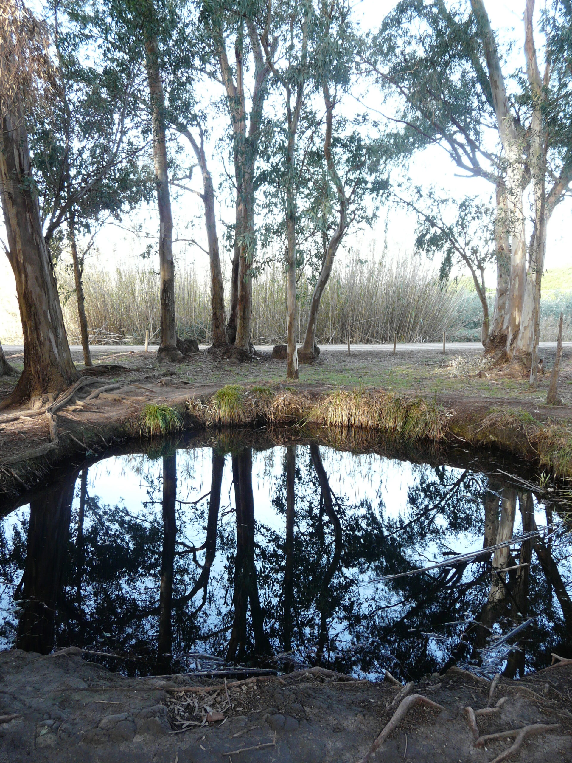 delta, els ullals d'en baltassar