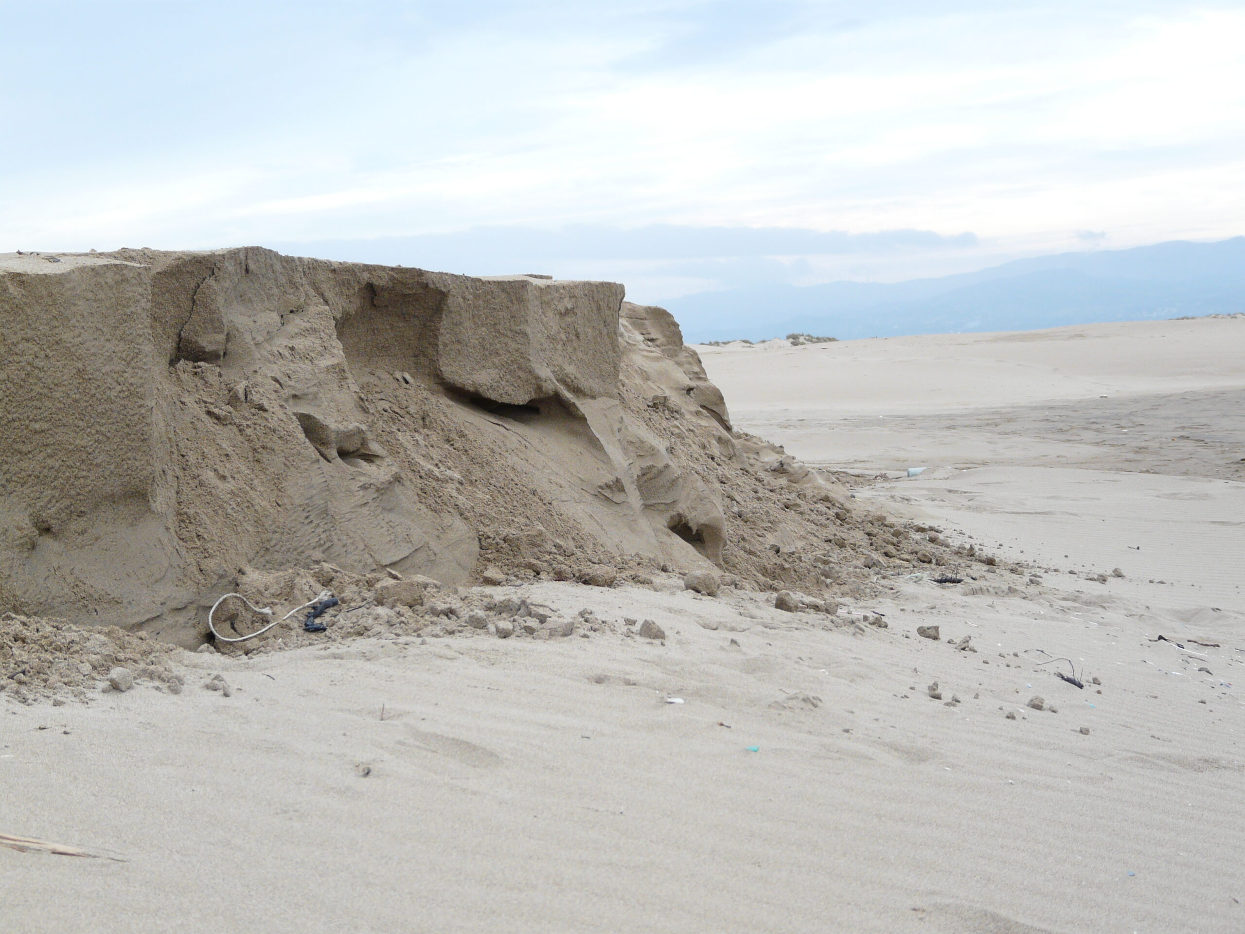 delta, punta del fangar