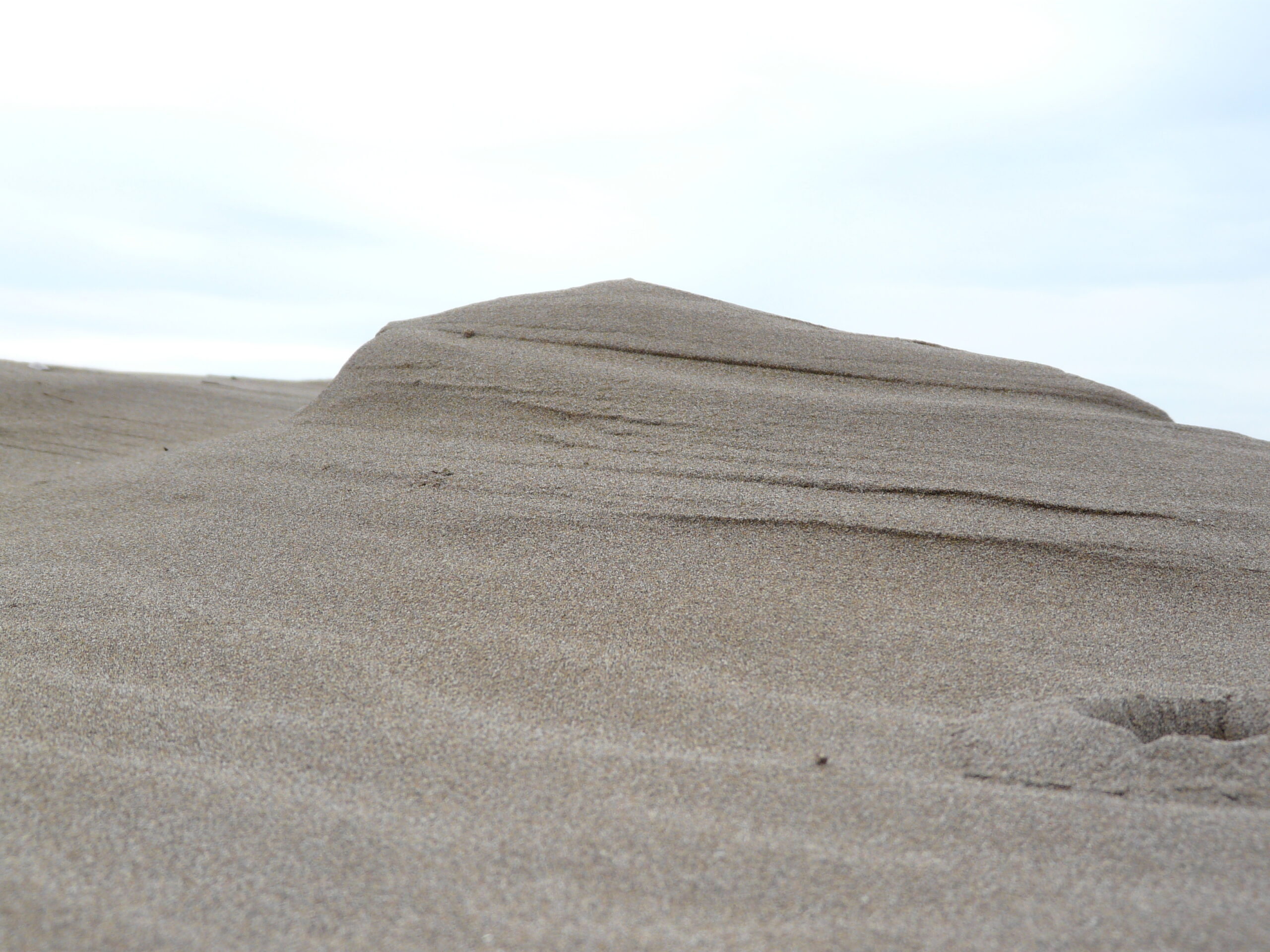 delta, punta del fangar