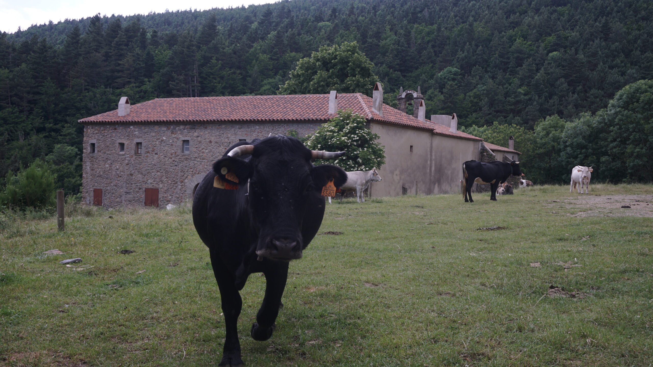 santuari les salines
