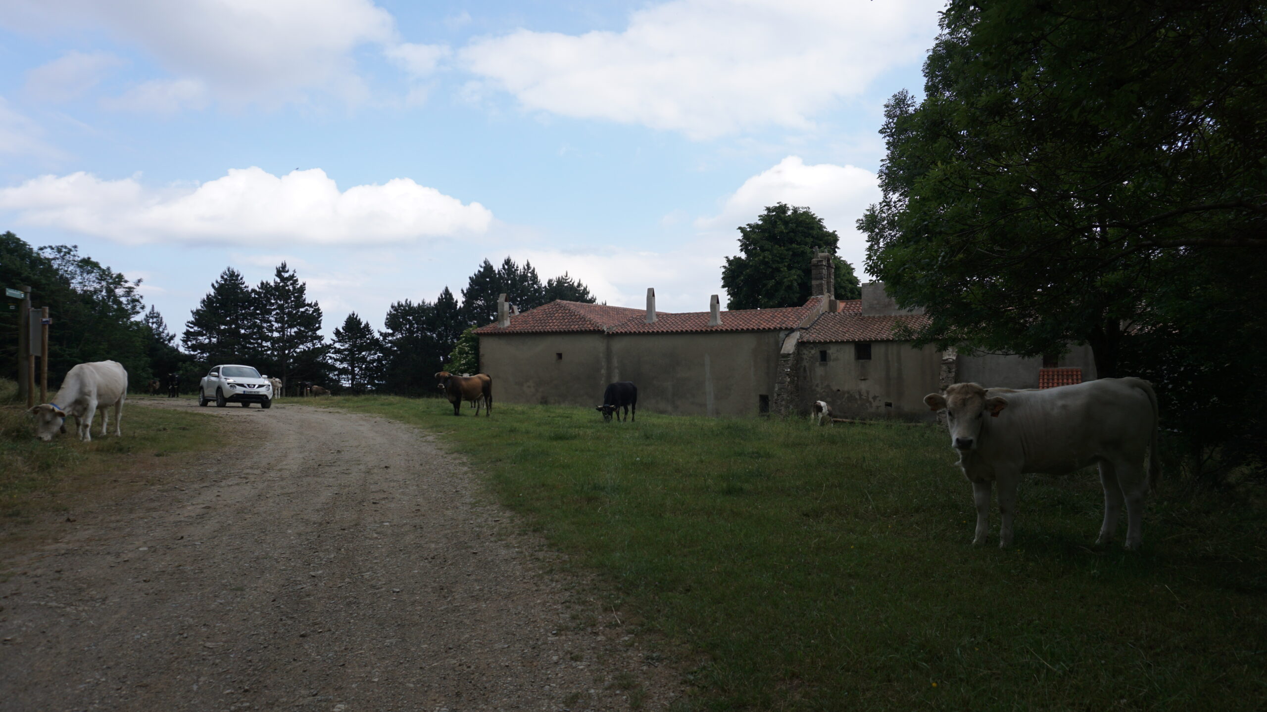 santuari les salines