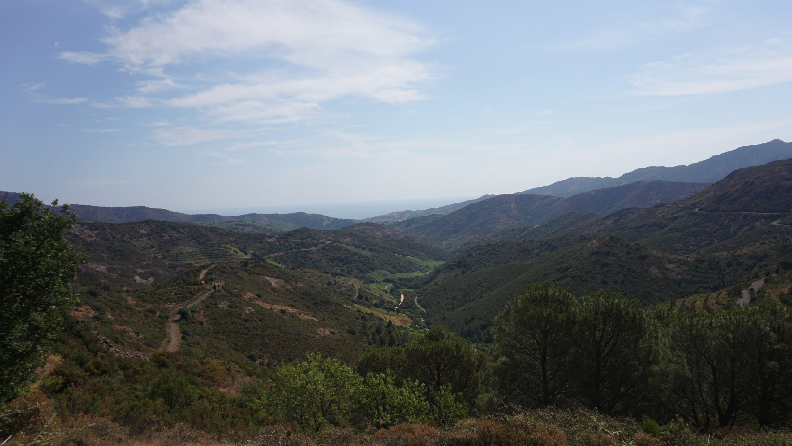 coll de banyuls