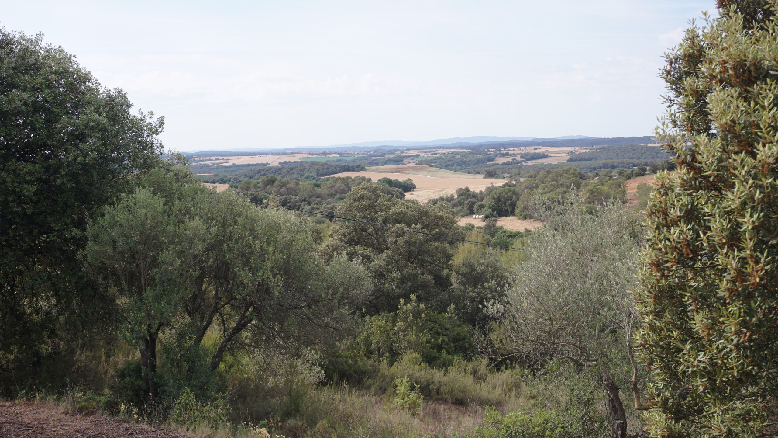 cistella, la mare de déu de vida