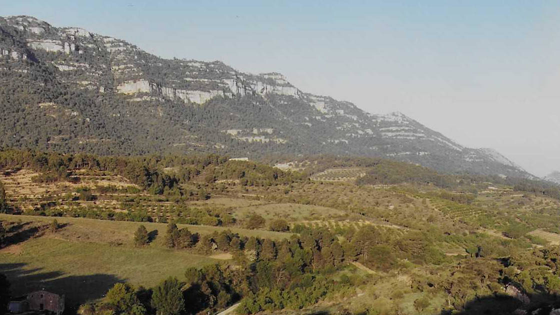 Montsant des del tram colldemònecs