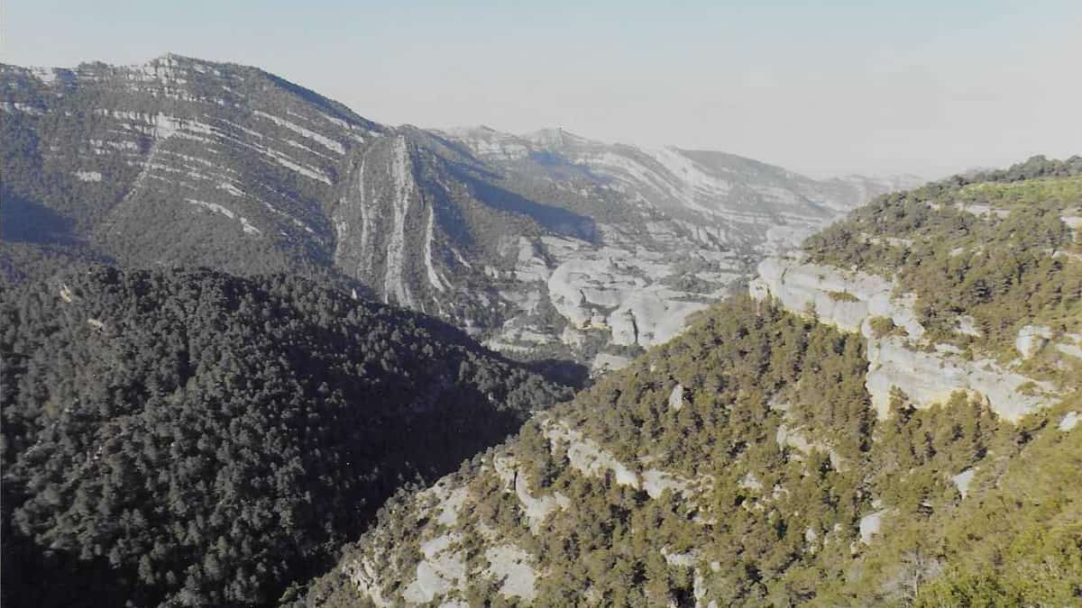 Montsant des del tram colldemònecs