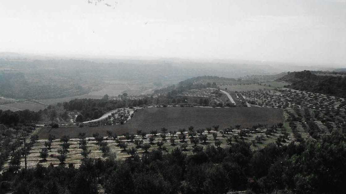 Des de la Mare de Déu de la Bovera