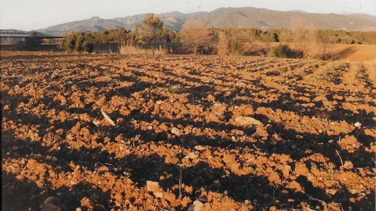 Pla de Llerona al Montseny