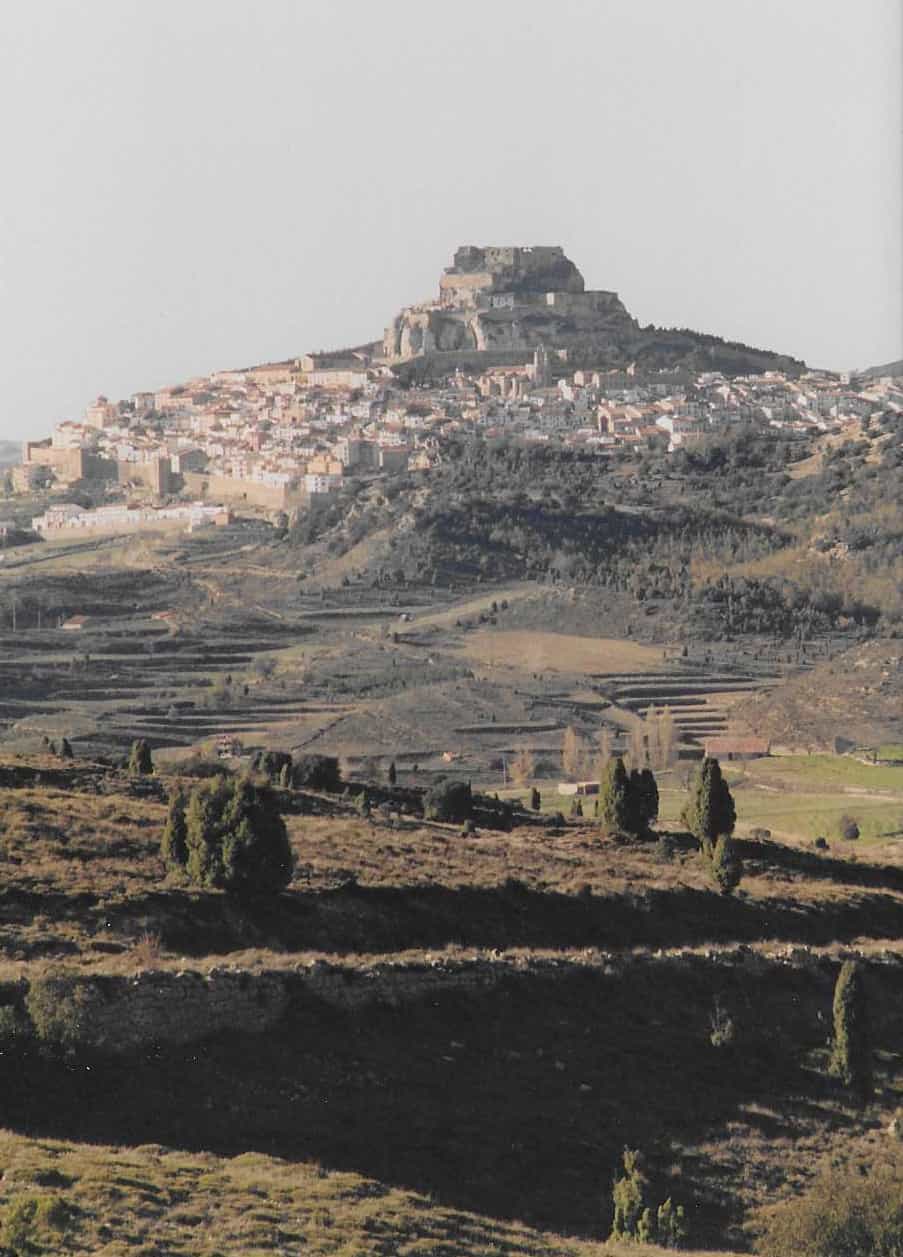 Morella