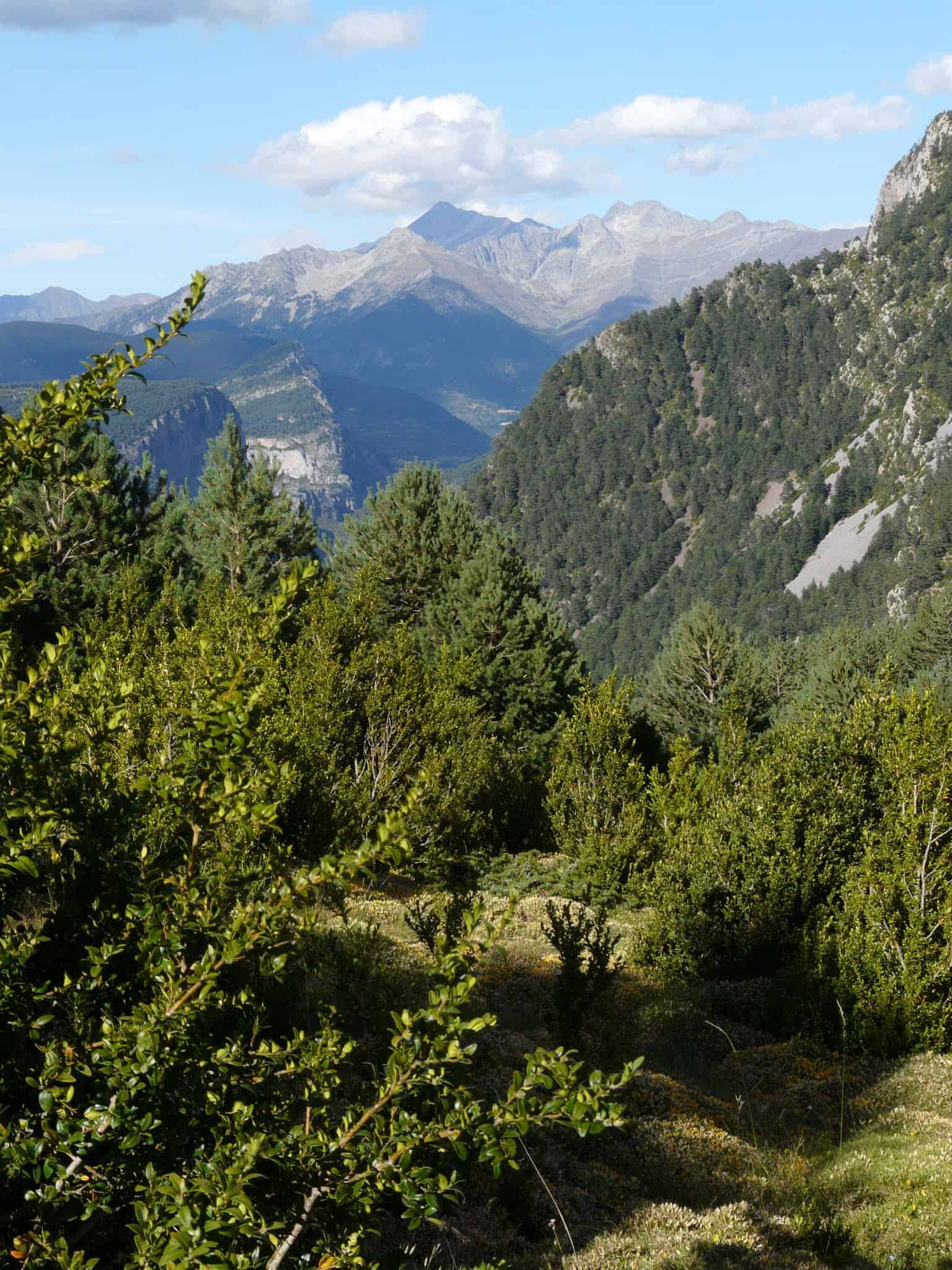 Santa Isabel collado a Posets