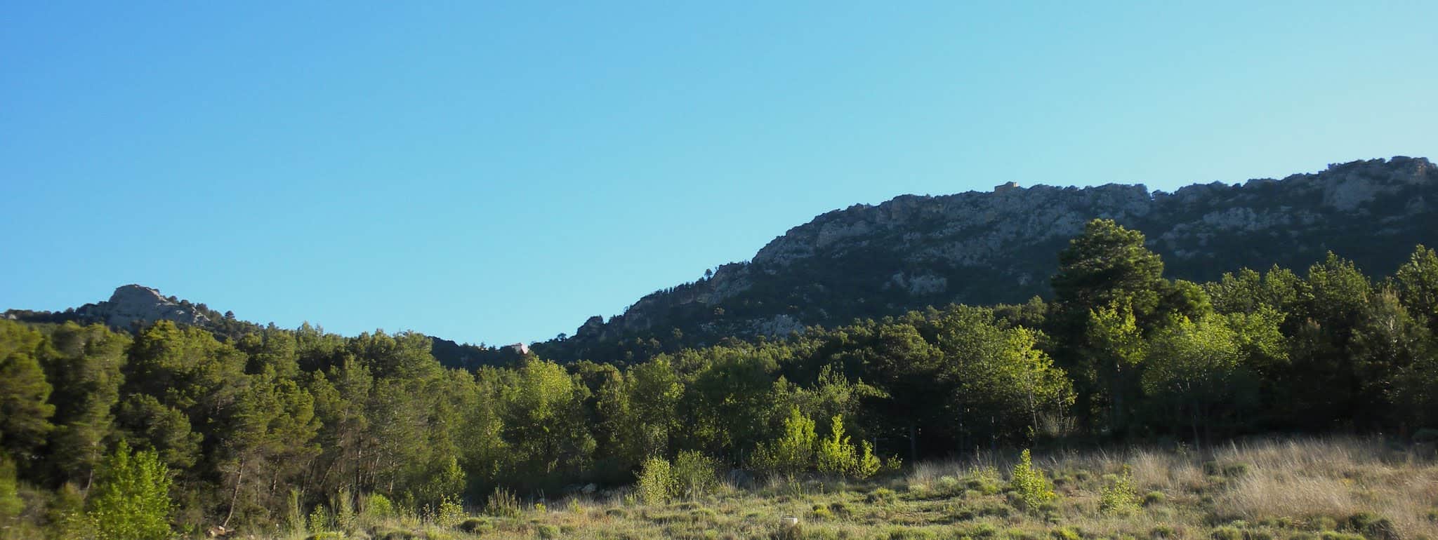 Pantà de Canelles a Montfalcó
