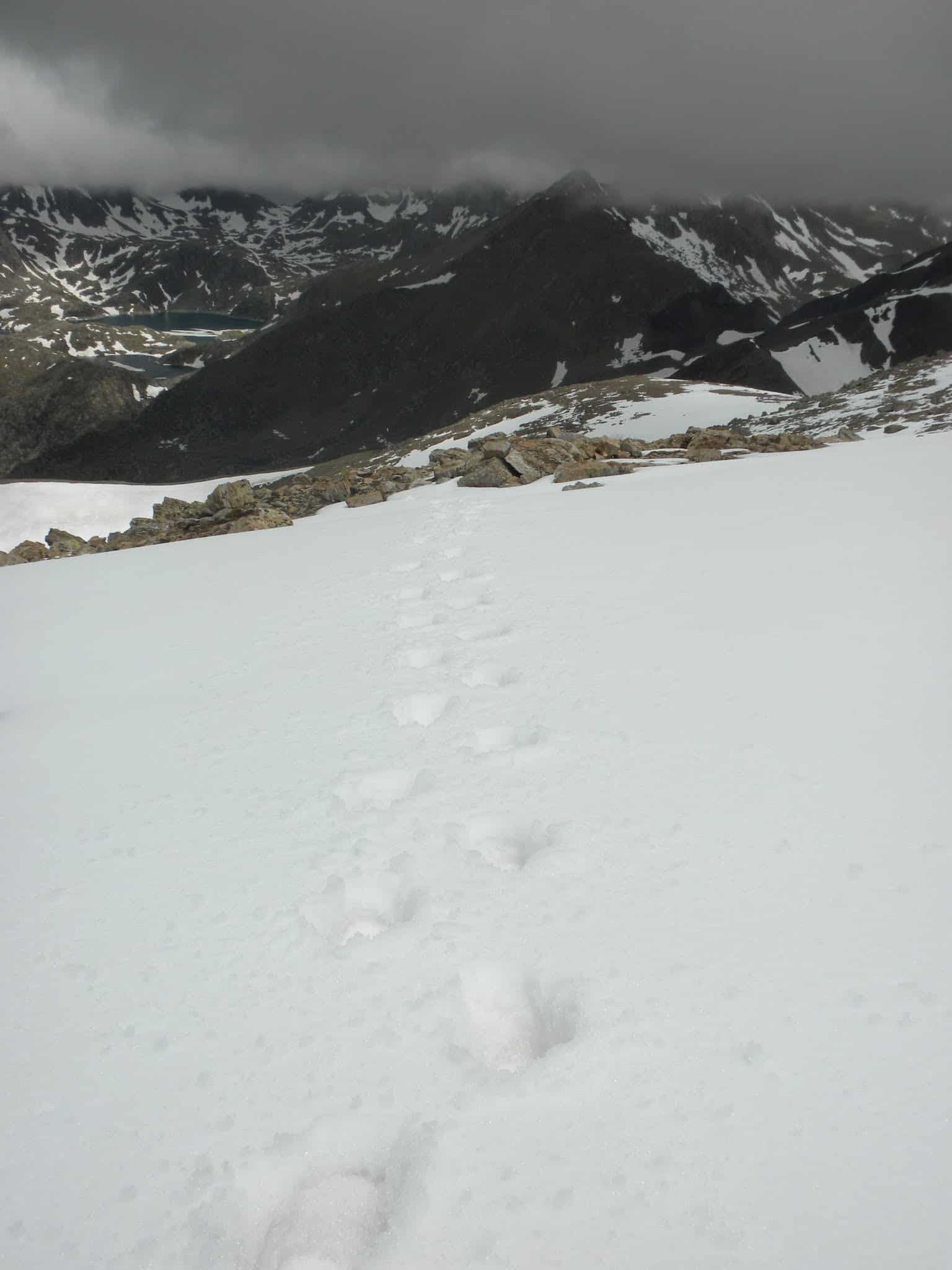 Montsent de Pallars, cim