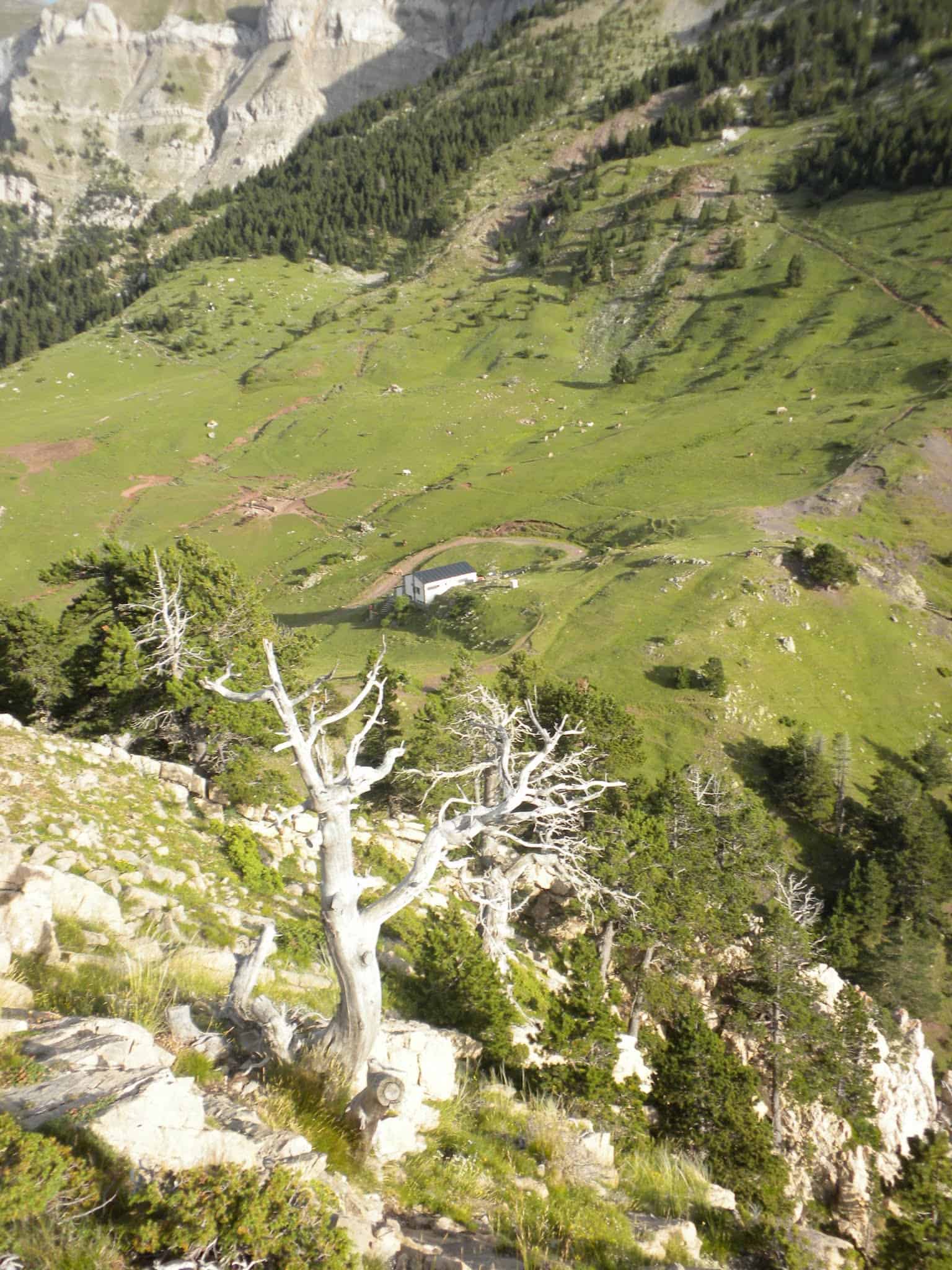 El Blancor a Prat Aguiló