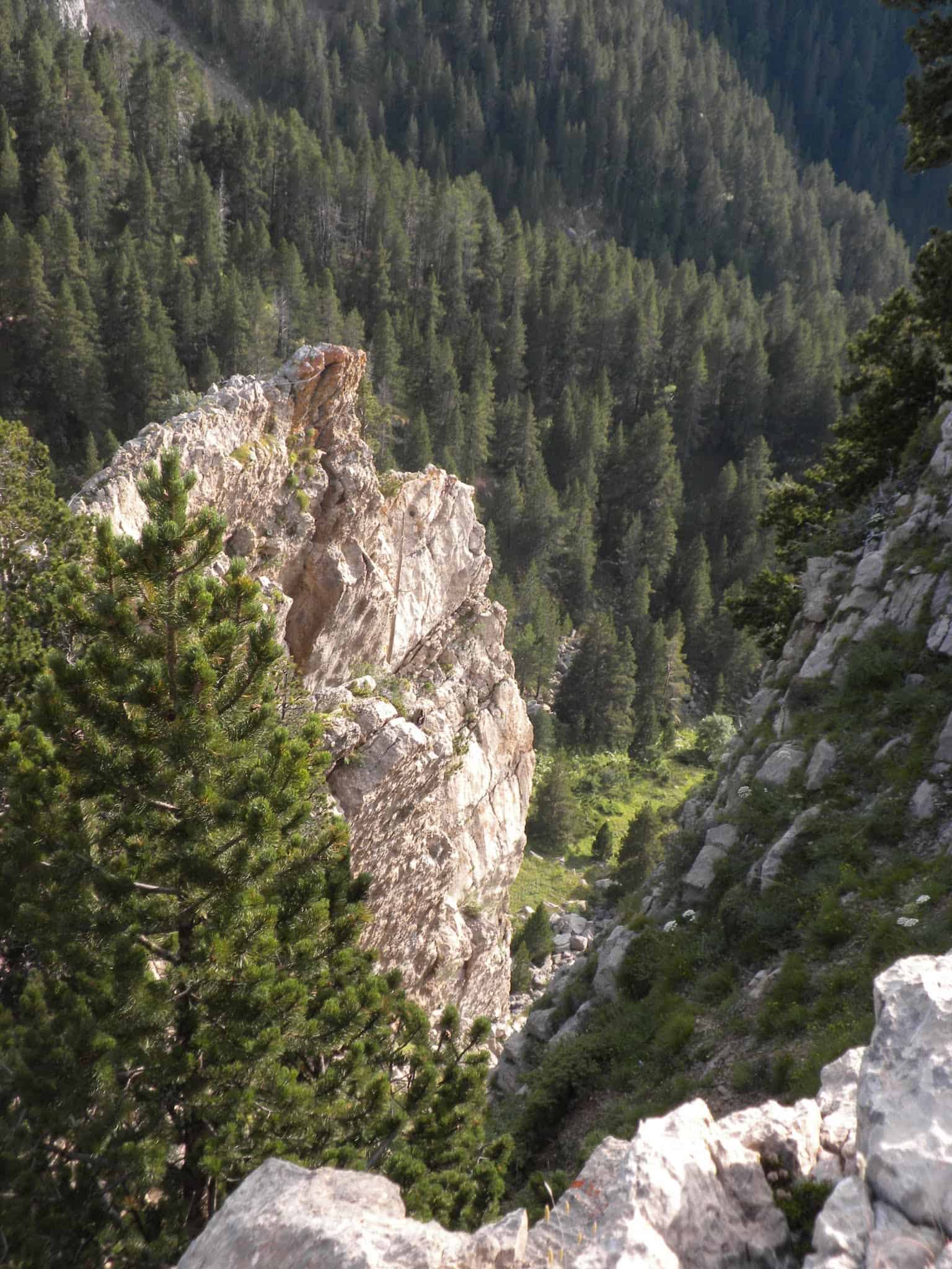 El Blancor al Barranc de l'Avellanosa