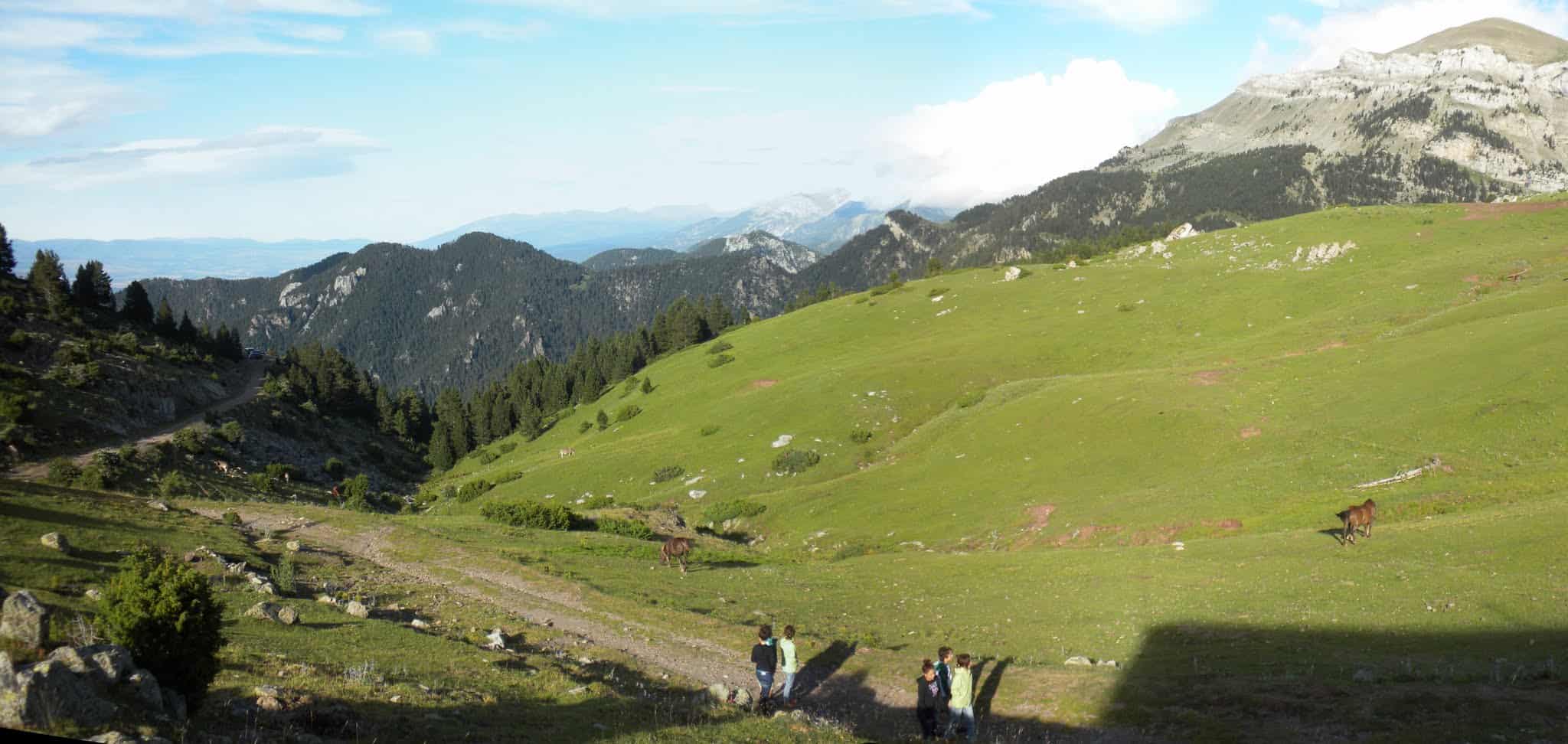 Prat Aguiló a Prat Aguiló vessant oriental