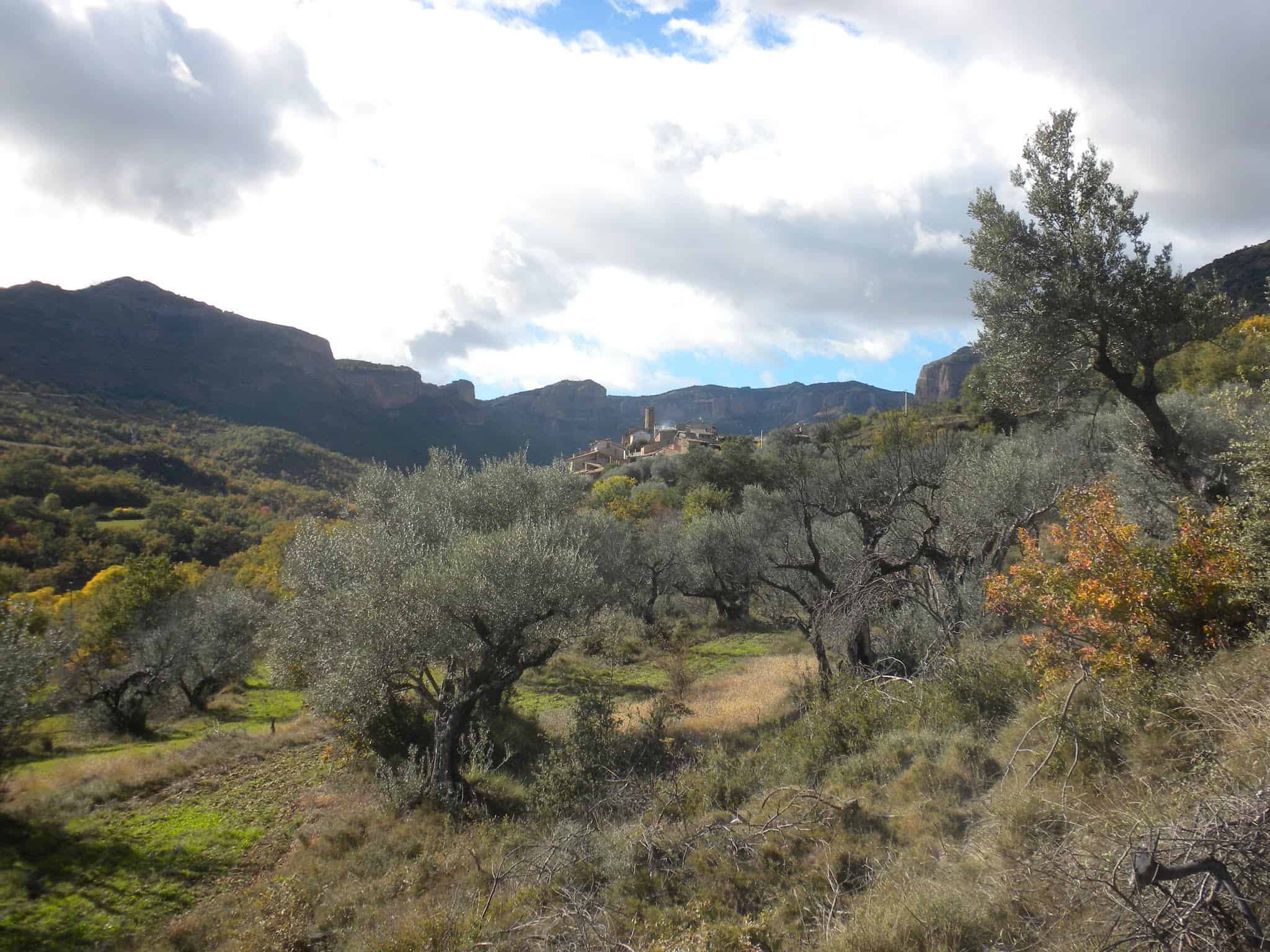 Vall de Serradell, Erinyà