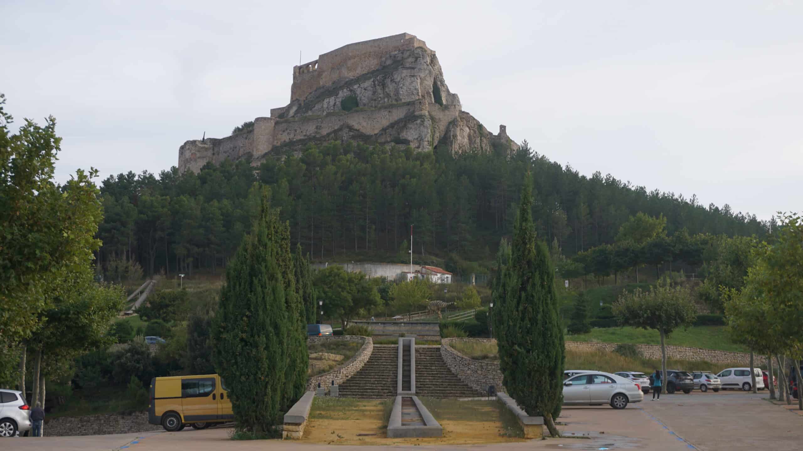 Morella