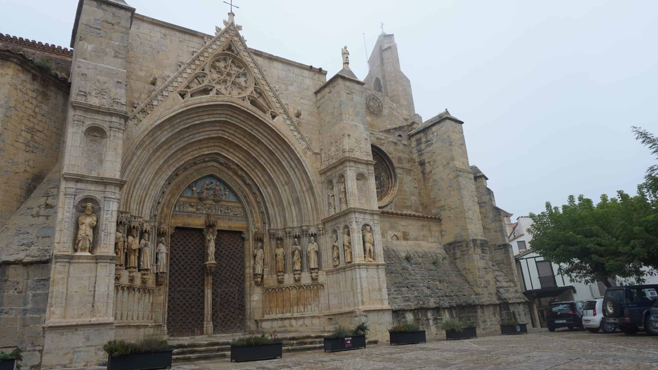 Morella