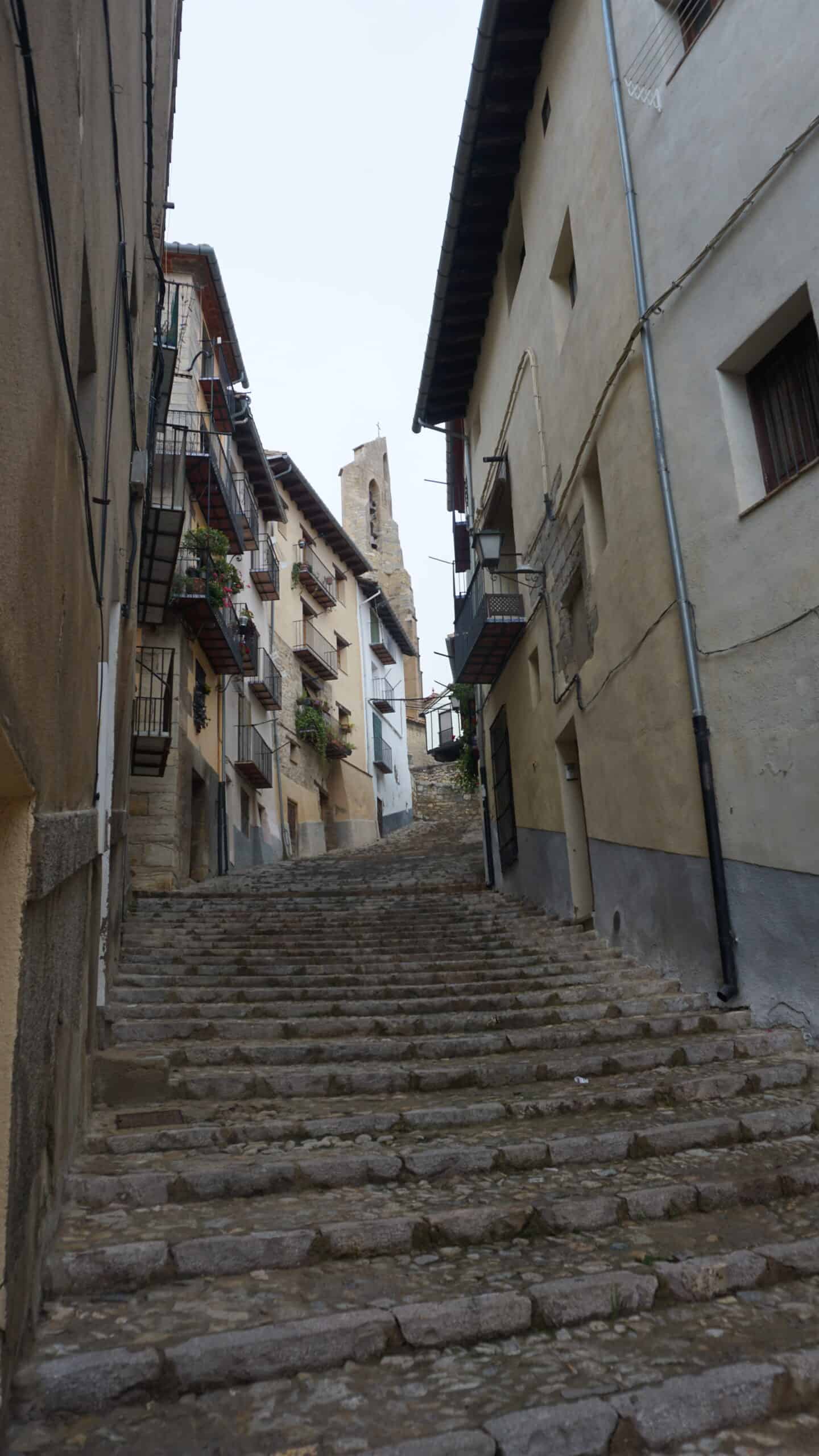 Morella