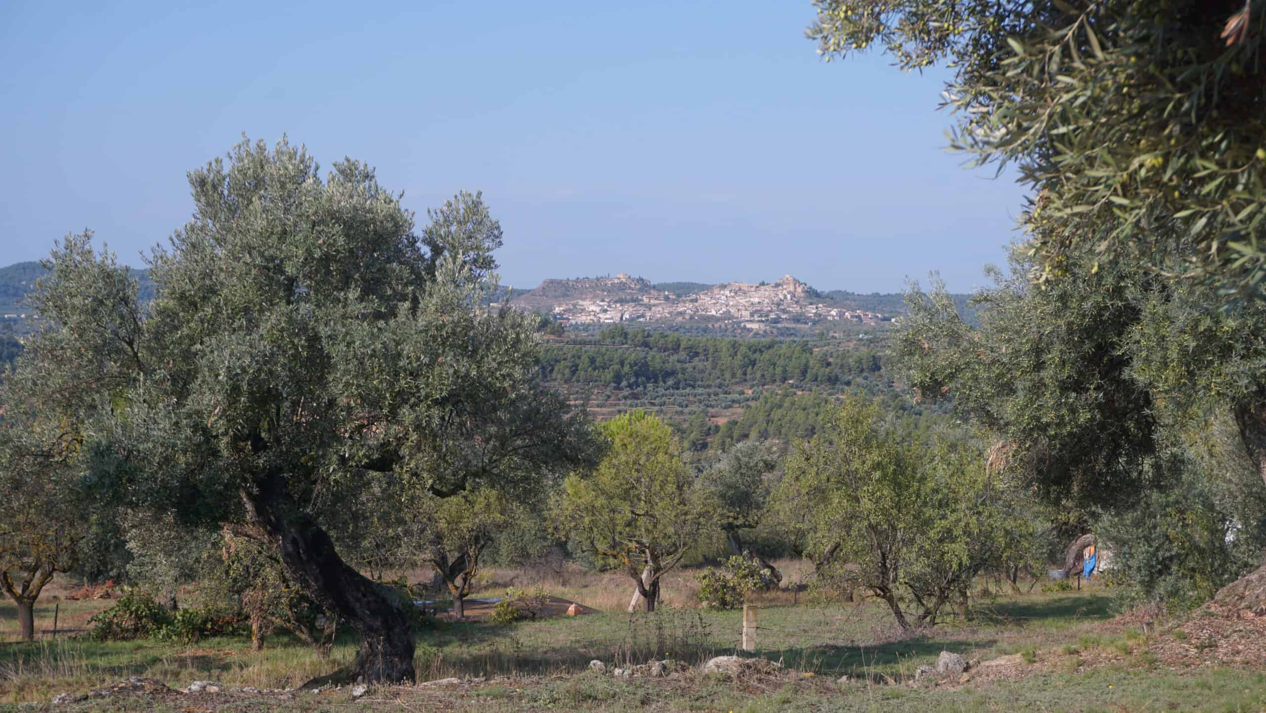 binary comment Torre del Comte a Freixneda
