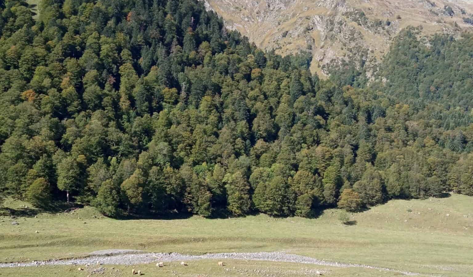 20211020 L'Artiga de Lin 2 (1)