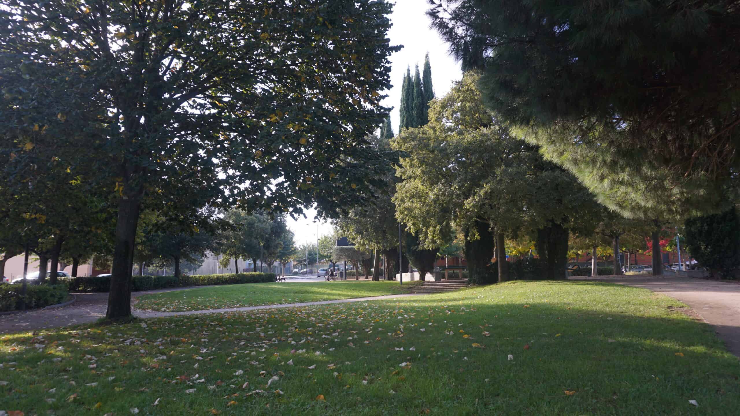 Maçanet de la Selva