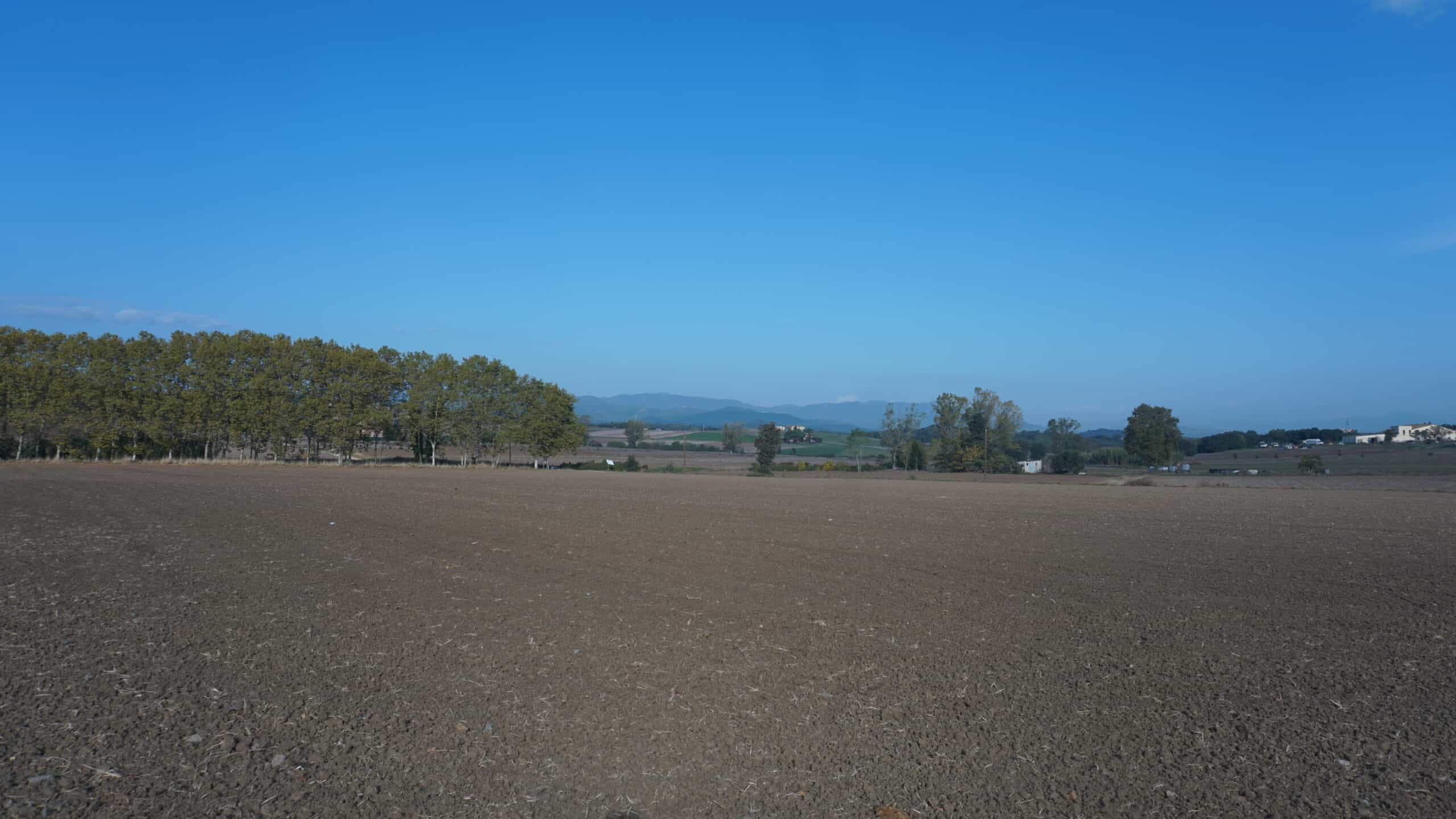 Maçanet de la Selva