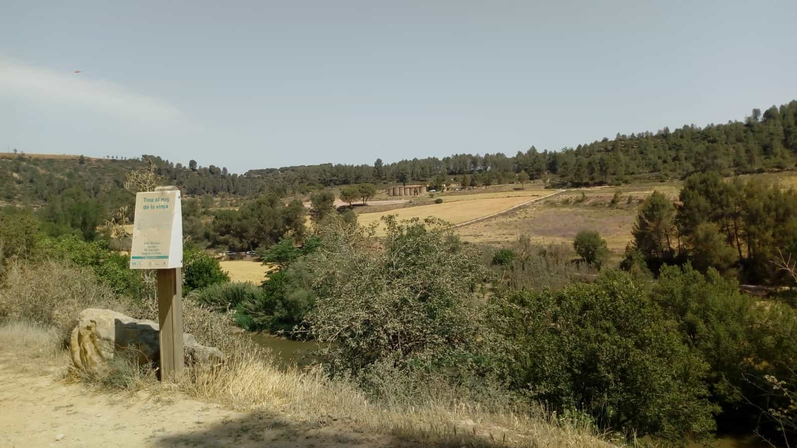 les tines de talamanca