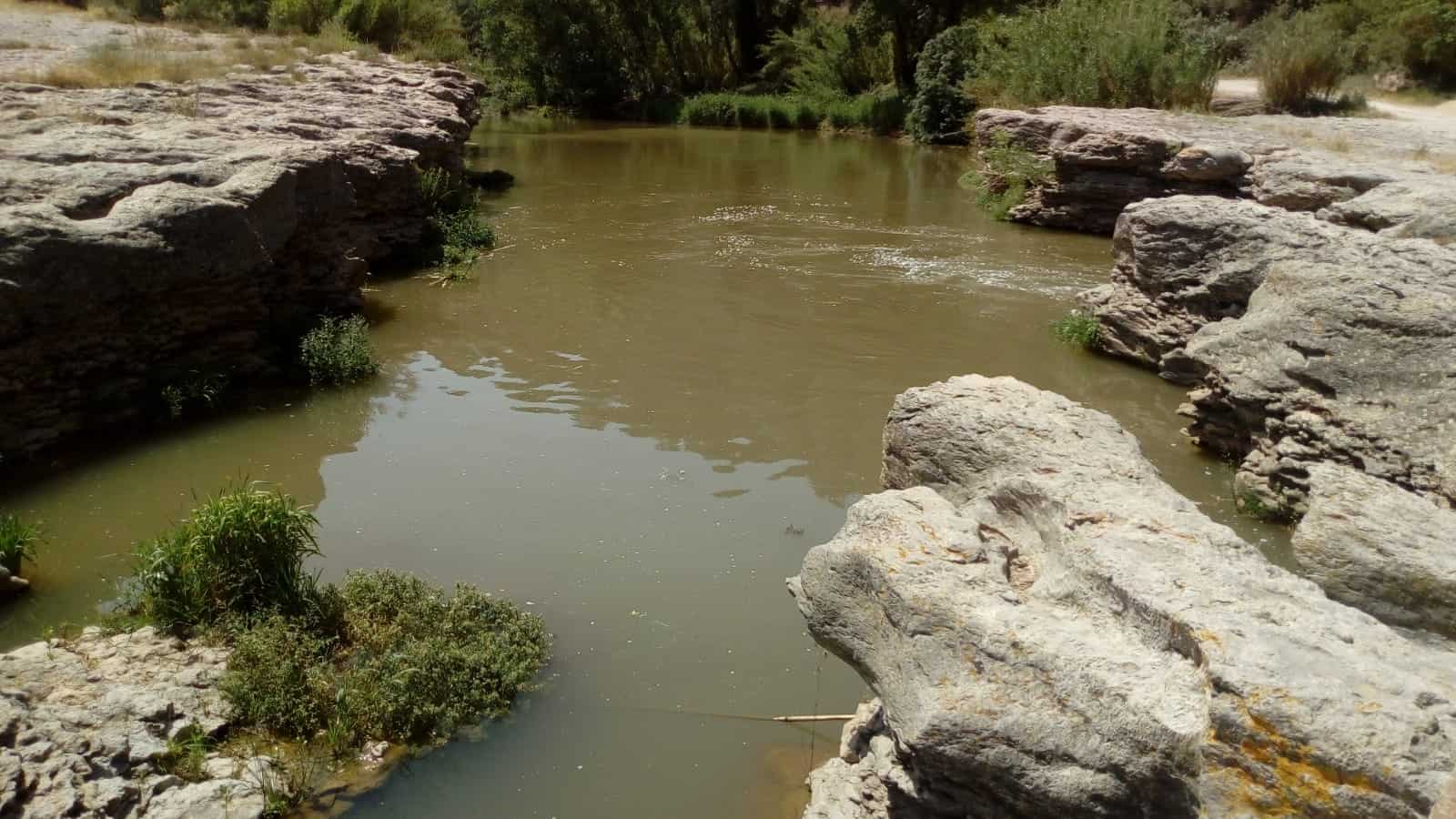 les tines de talamanca, el llobregat
