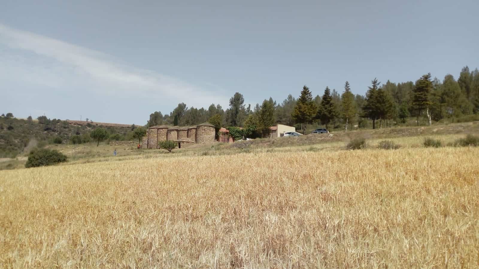 les tines de talamanca