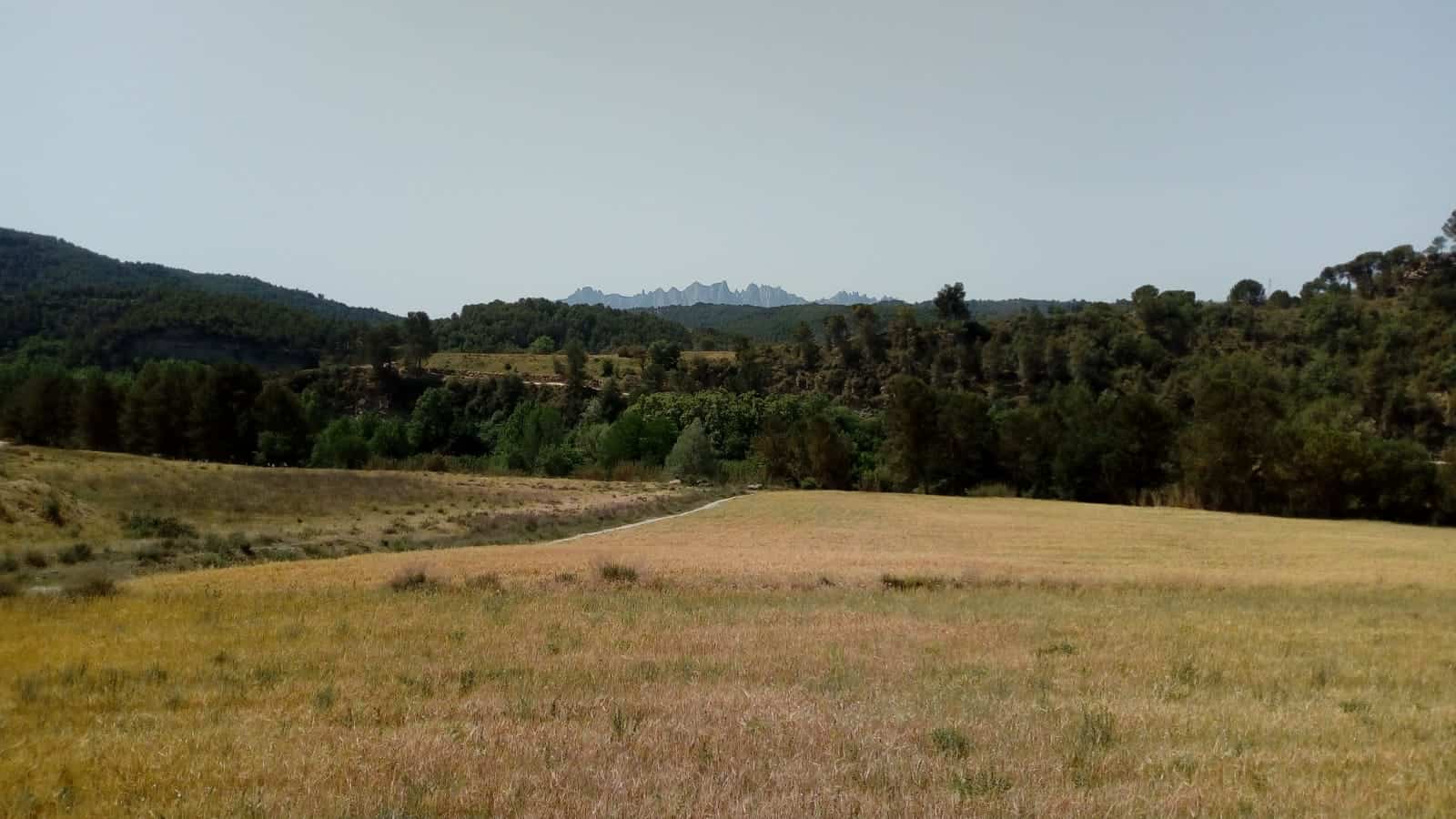 les tines de talamanca