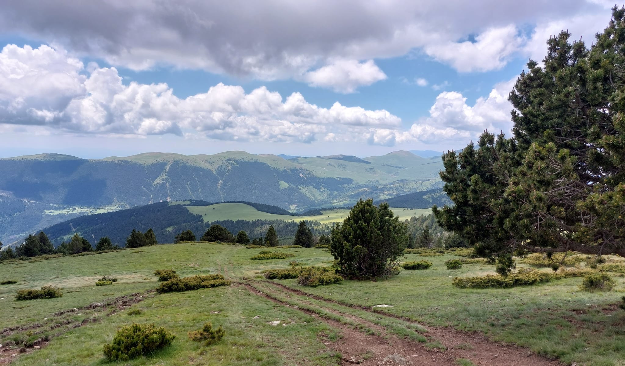 ·pla de les salines·5