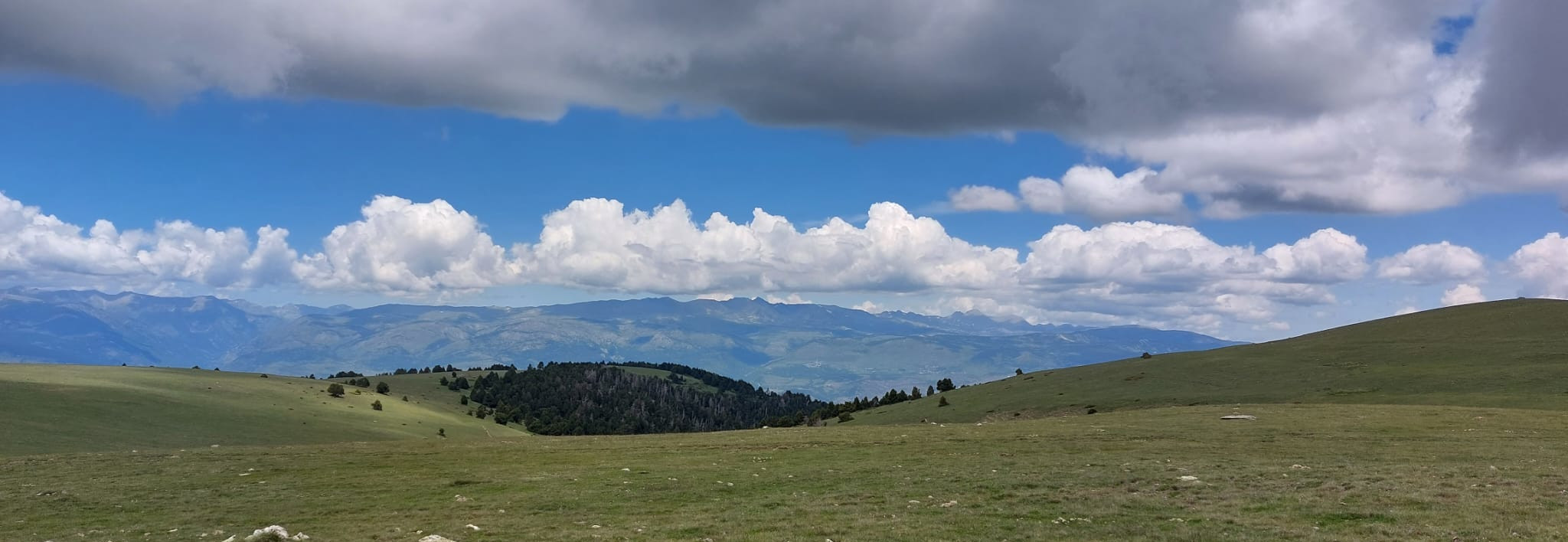 ·pla de les salines·6